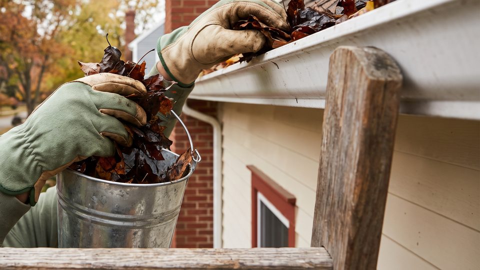 Gloved hands scoop wet autumn leaves from a white gutter into a metal bucket at the top of a wooden ladder
